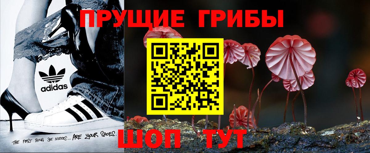 Псилоцибиновые грибы ЛСД Кунгур