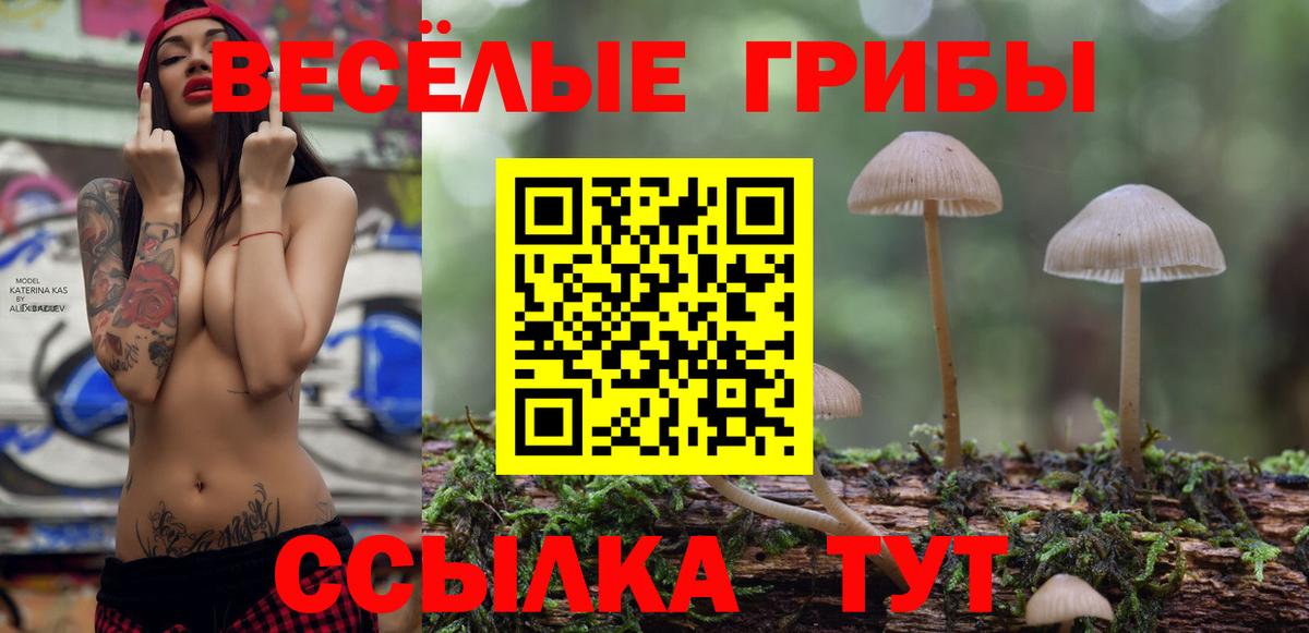 Псилоцибиновые грибы MAGIC MUSHROOMS  Галлюциногенные грибы Psilocybine cubensis  Кунгур  Вход с VPN 